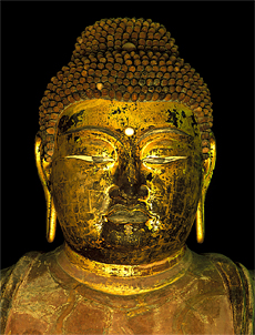 唐招提寺.盧舎那仏坐像.顔.jpg