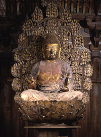 唐招提寺.盧舎那仏坐像.jpg